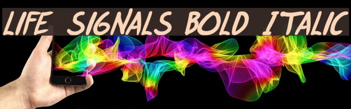 life signals Bold Italic Font examples