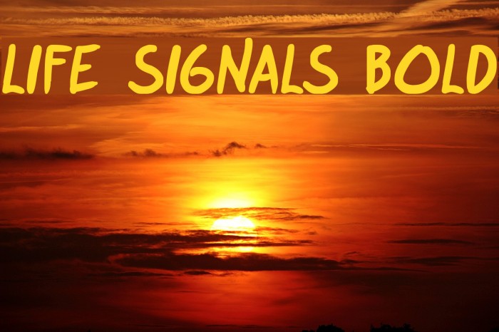 life signals Bold Font examples