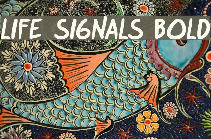 life signals Bold Font examples