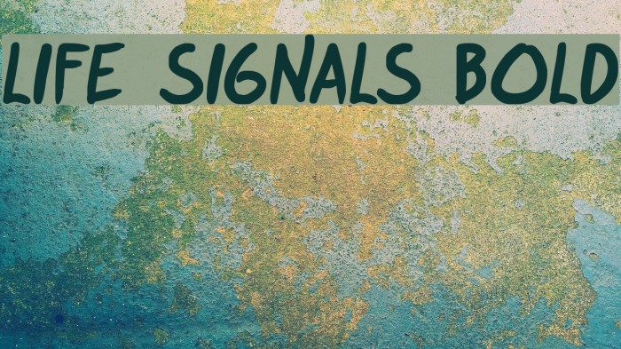 life signals Bold Font examples