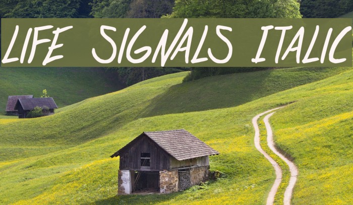 life signals Italic Font examples