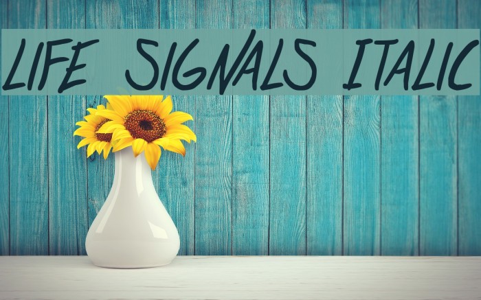 life signals Italic Font examples