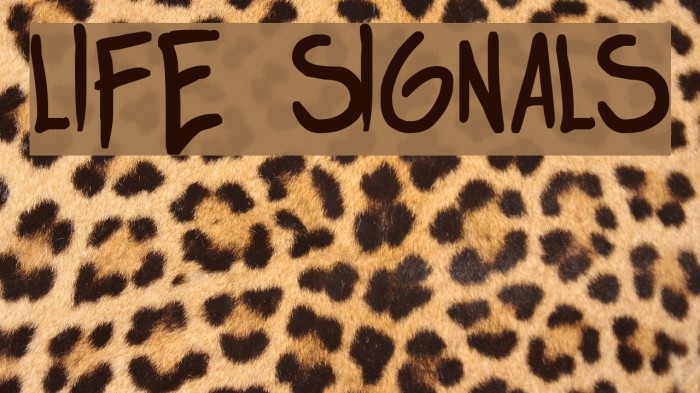 life signals 字体 examples