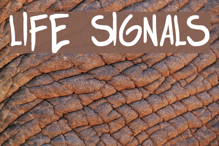 life signals 字体 examples
