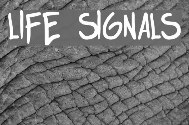 life signals Font examples