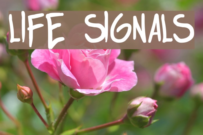 life signals 字体 examples