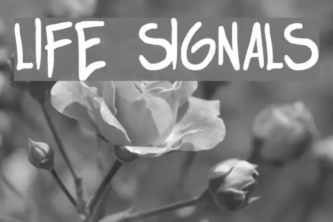 life signals Font examples