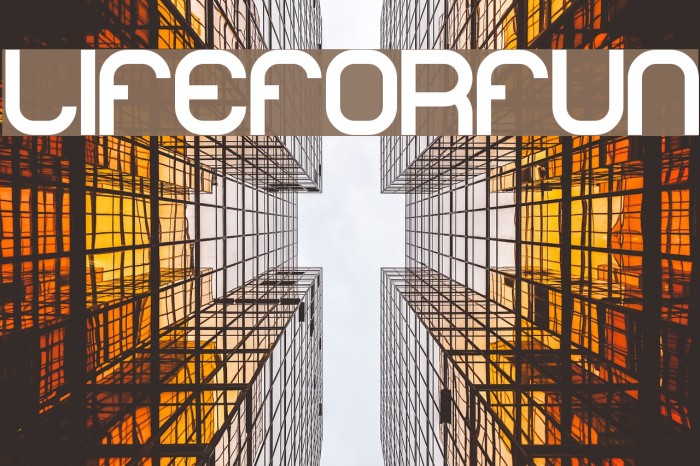 lifeforfun Example 3