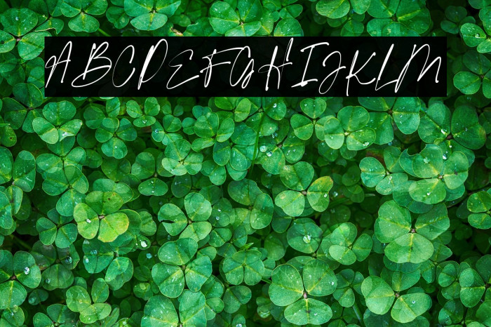 ligatures-script Regular Example 1