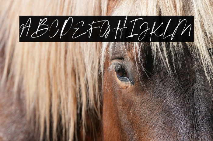 ligatures-script Regular Example 3