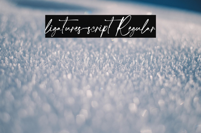 ligatures-script Regular Example 1
