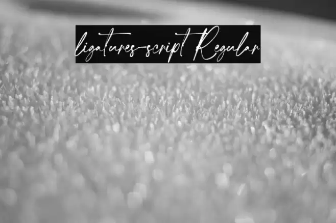 ligatures-script Regular Font examples