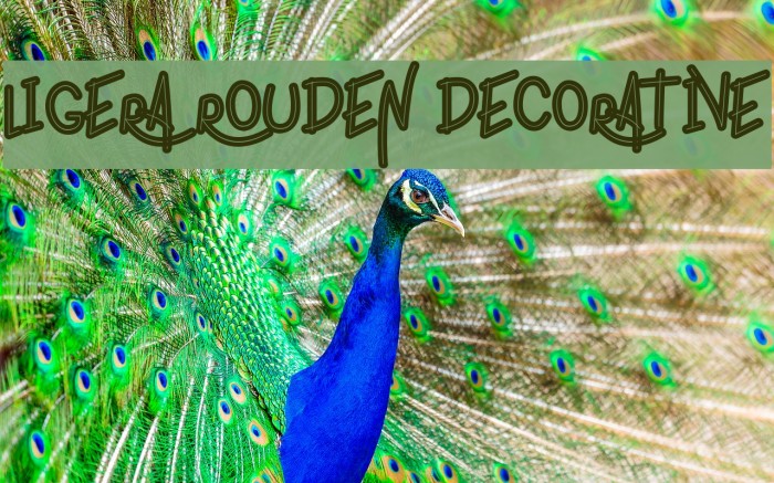 ligera rouden Decorative Font examples