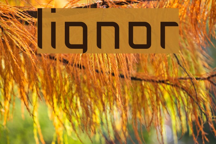 lignor Example 1