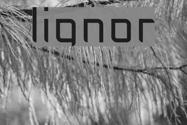 lignor Font examples