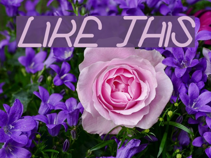 like this Font examples