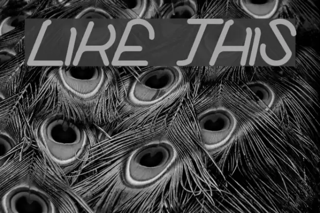 like this Font examples