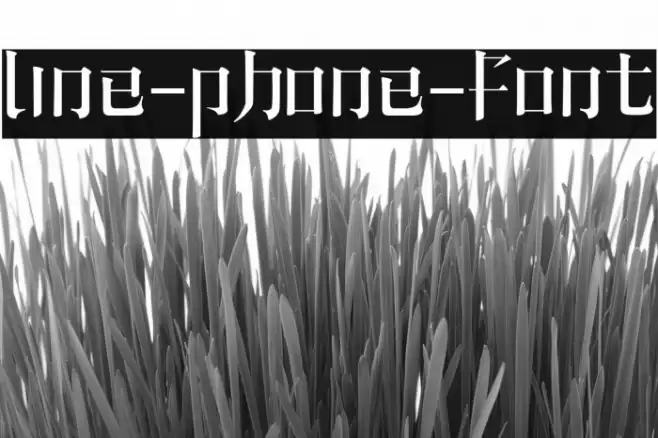line-phone-font Font examples
