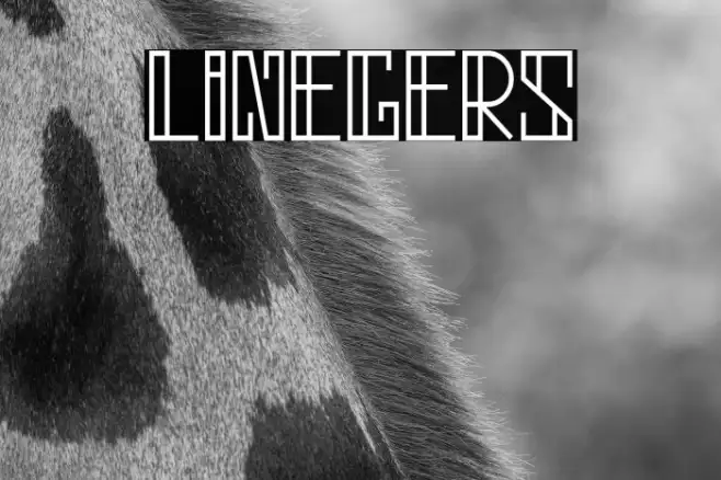 linegers Example 2