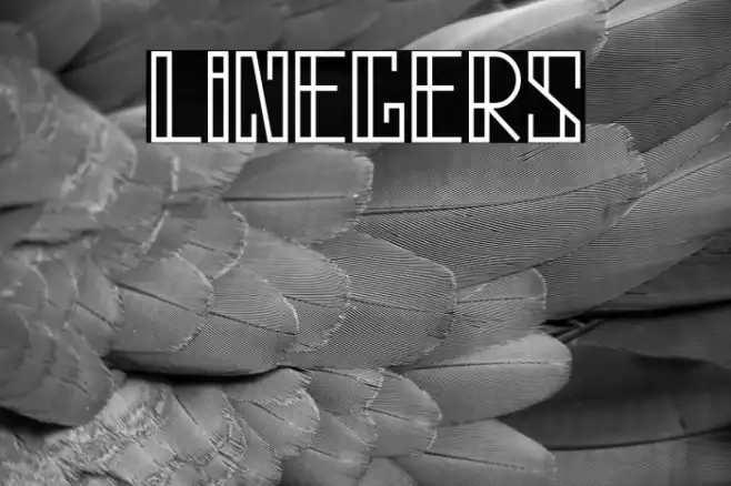 linegers Example 3