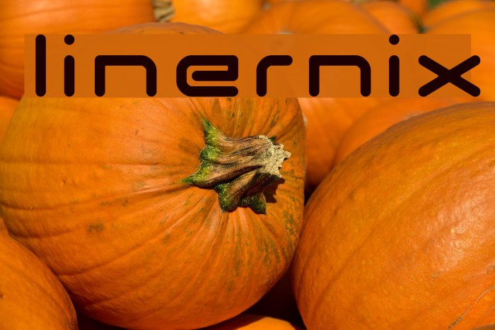linernix Font examples