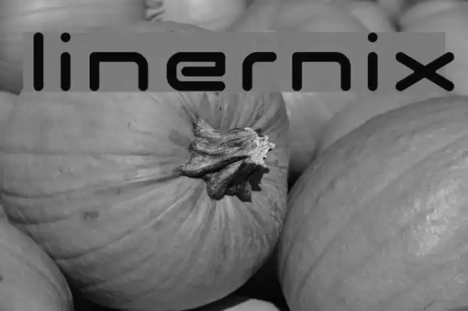 linernix Example 1