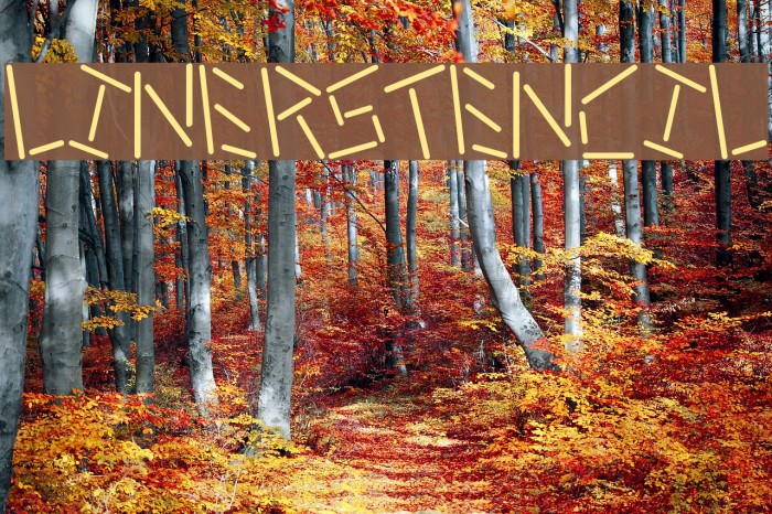 linerstencil Font examples