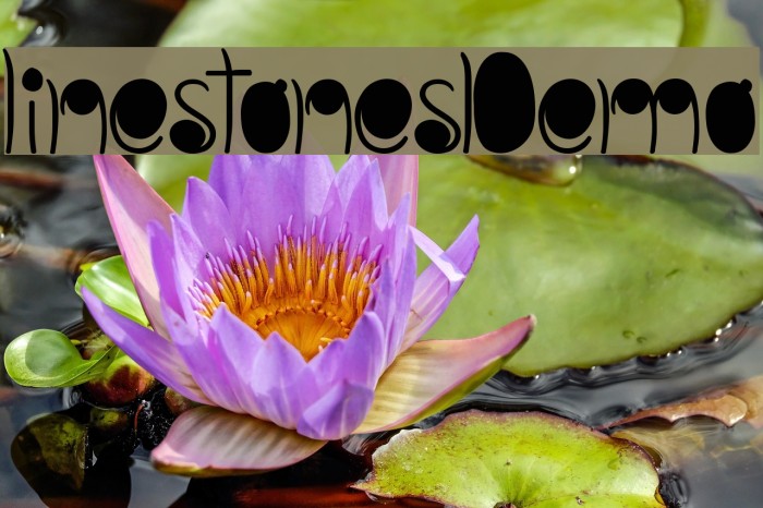 linestonesDemo Example 2