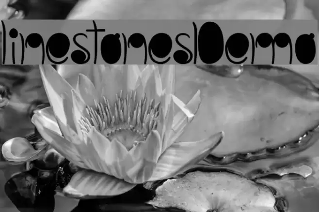 linestonesDemo Font examples