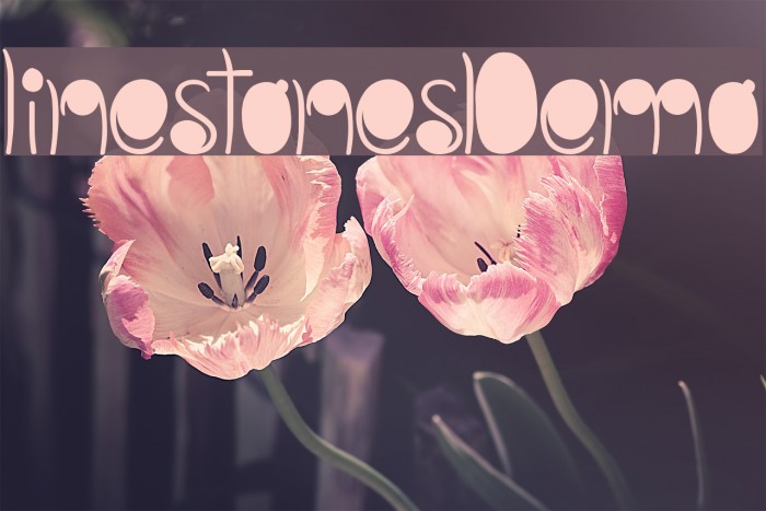 linestonesDemo Example 3