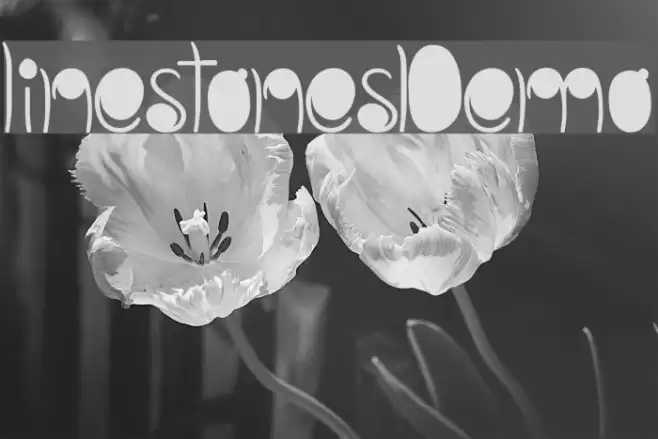 linestonesDemo Font examples