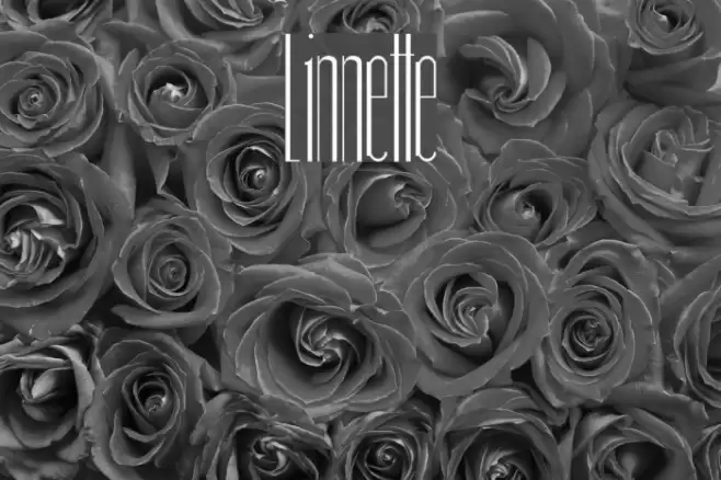 linnette Font examples