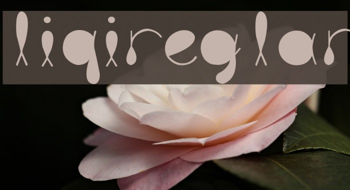 liquitRegular Example 1