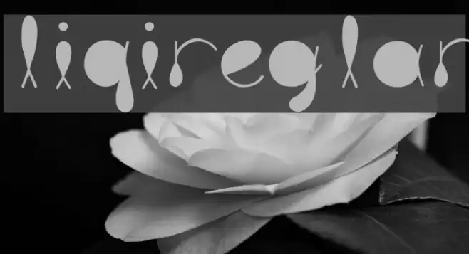 liquitRegular Font examples