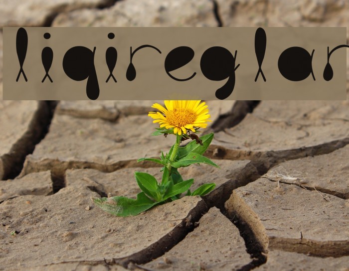 liquitRegular Example 2