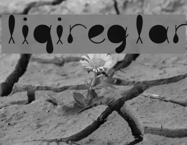 liquitRegular Font examples