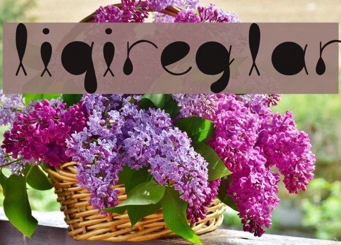 liquitRegular Example 3