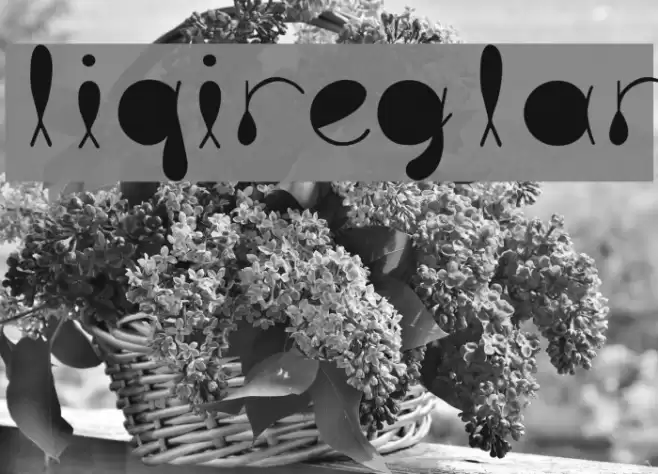 liquitRegular Font examples