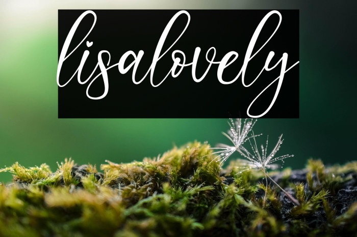 lisalovely Example 1