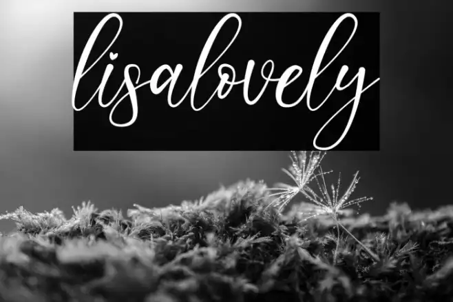 lisalovely Example 1