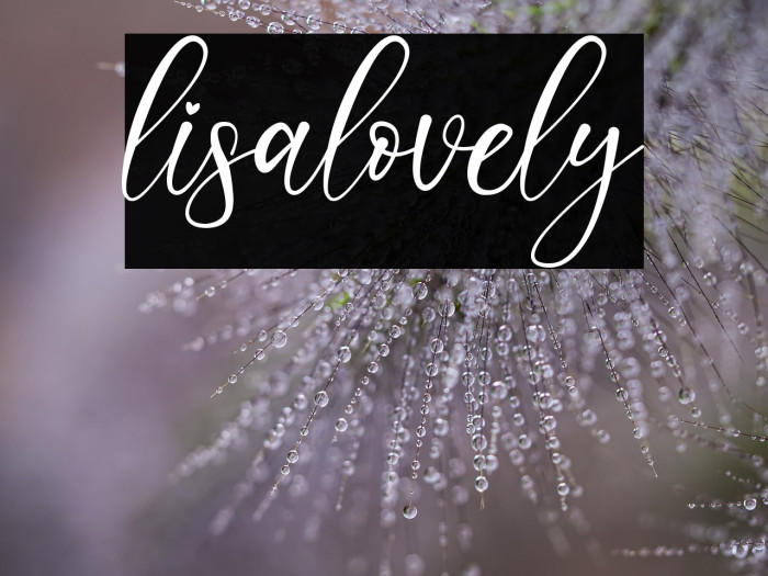 lisalovely Example 2