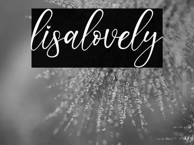 lisalovely Example 2