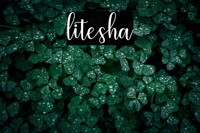 litesha Example 3