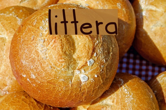 littera Font examples