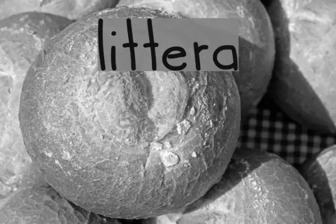 littera Example 1