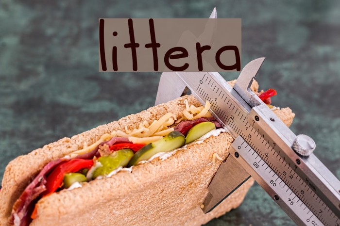littera Font examples