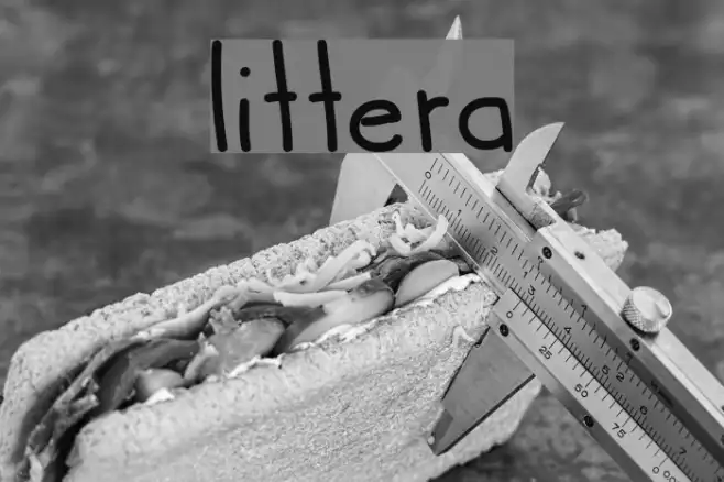 littera Example 2