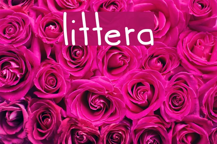 littera Font examples