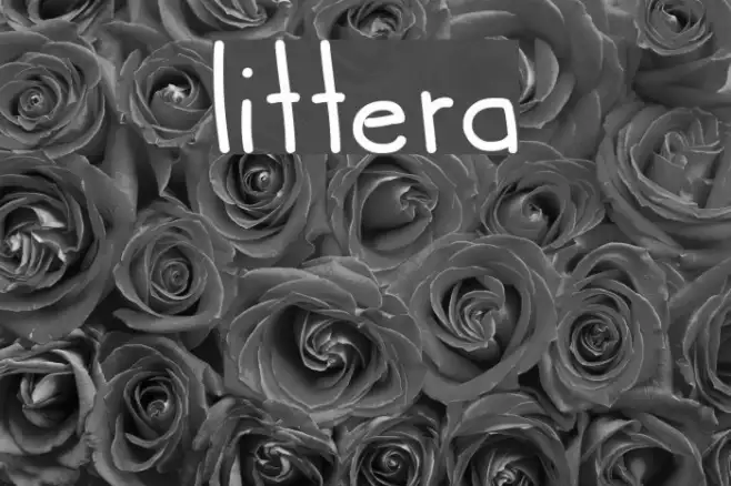 littera Example 3