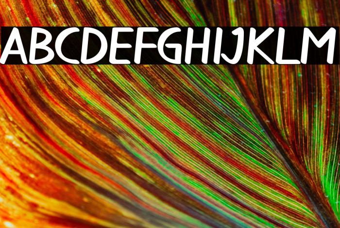 little coffee Example 1